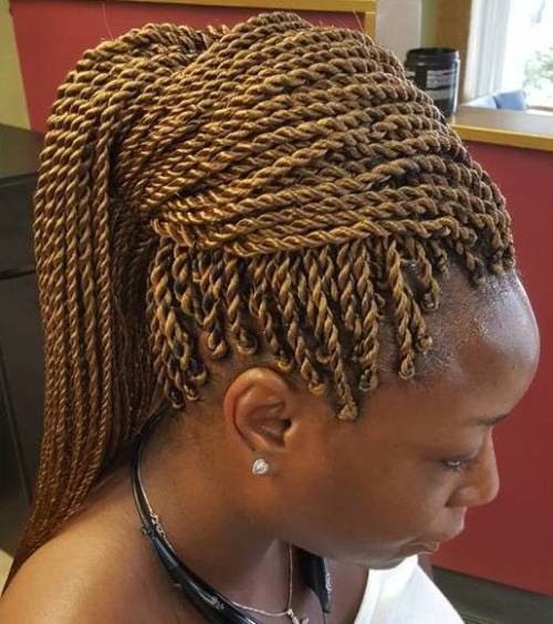 50 spannende Twist Braid Styles in dieser Saison zu versuchen  